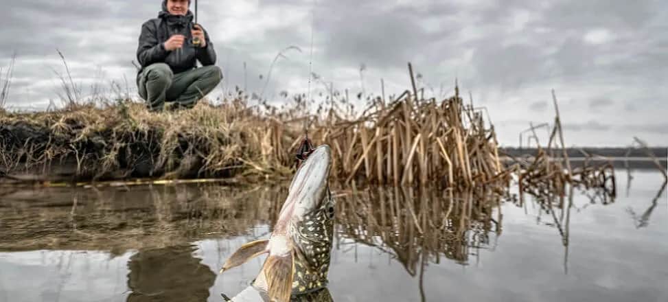 Pozwolenie na wędkowanie w jeziorze Wielewskim – co musisz wiedzieć