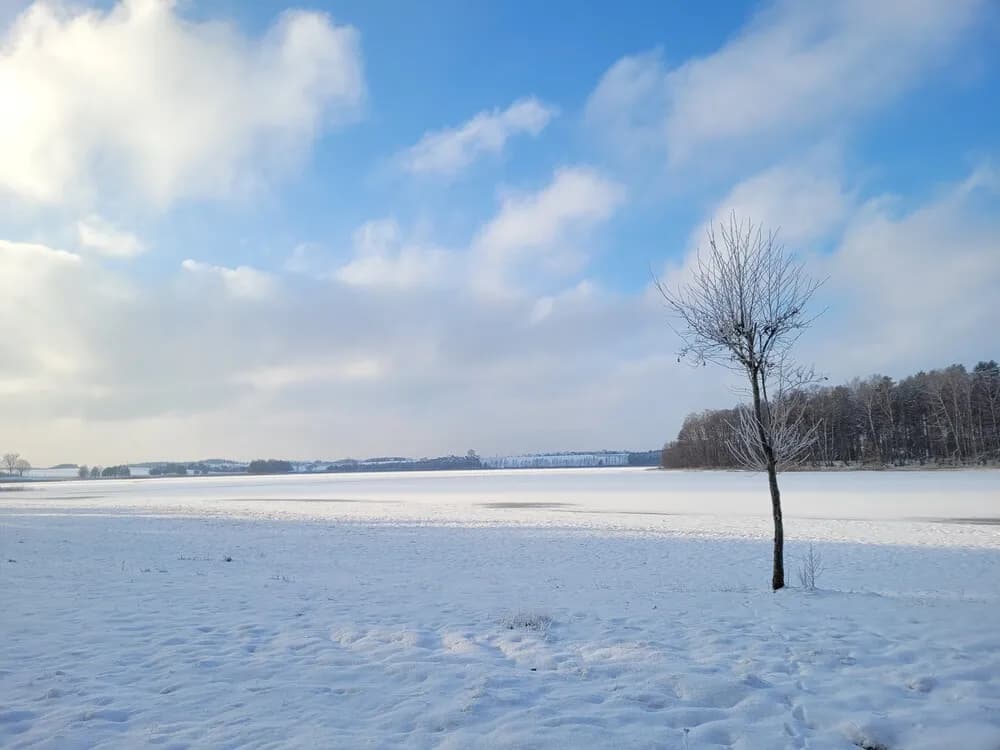 Jezioro Kiedrowickie - idealne miejsce na relaks i wędkowanie