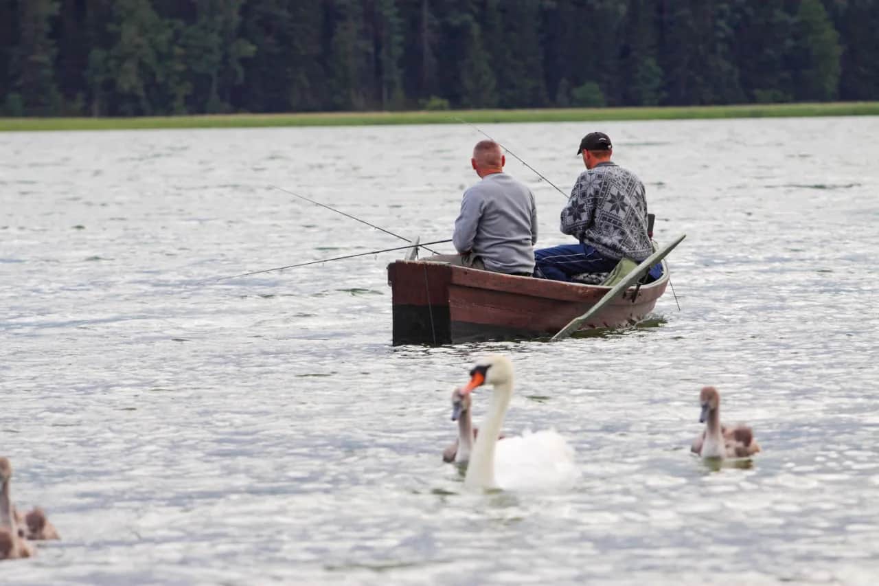 Jezioro Graniczne Lubuskie: atrakcje, bezpieczeństwo i wędkarstwo