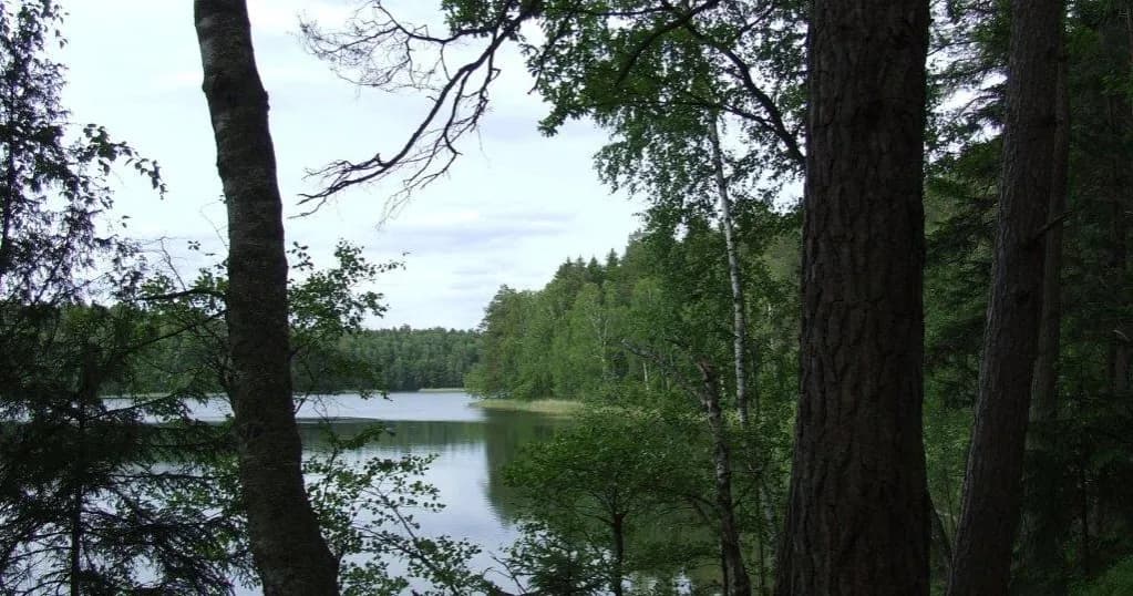 Jezioro Piaseczno w Borach Tucholskich: Odkryj jego piękno i tajemnice