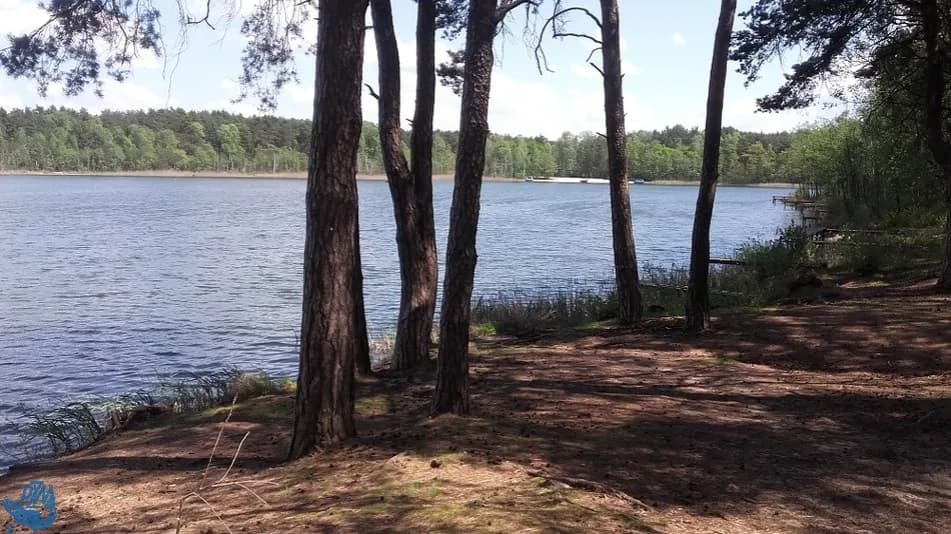 Jezioro Moczydło Lubuskie - piękne miejsce na wędkowanie i relaks