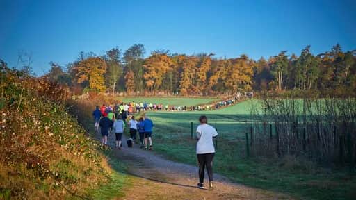 Parkrun jezioro swarzędzkie - jak wziąć udział i co warto wiedzieć